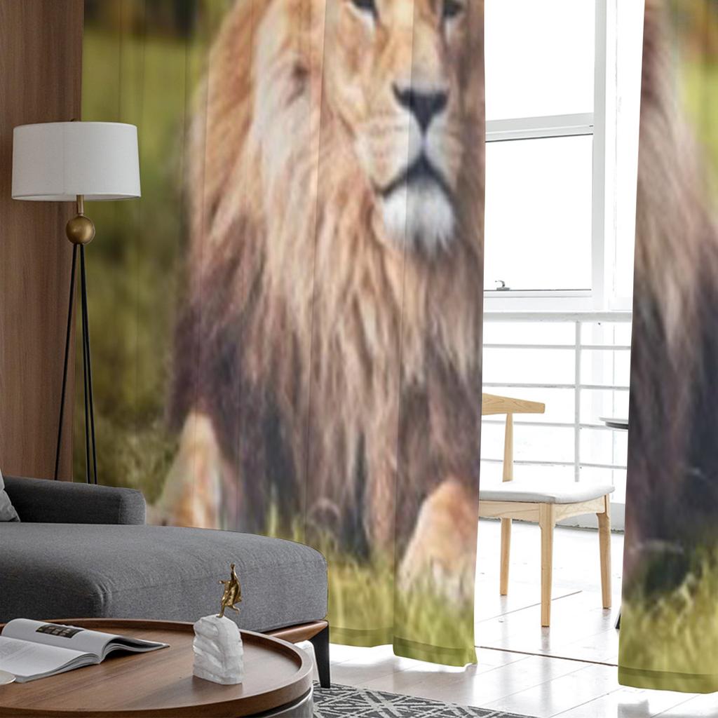 Großer Löwe liegt auf Savannengras Tüll Transparent Vorhänge für Wohnzimmer das Zimmer Schlafzimmer Küchendekoration Voile Organza Vorhänge
