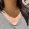 Jindian Has The Same Full Diamond Brushed Bamboo Necklace, High-End Sense Joint High Retro Collarbone Chain.