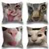 Funny Cat Meme Pillow Case Pillow Case Living Room Sofa Cushion Cover Suitable For Home Bedroom Room Decoration