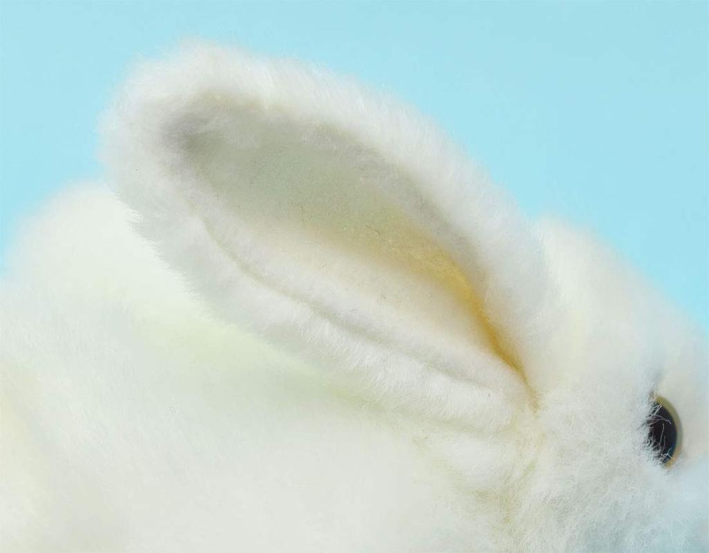 BH5823 HANSA Rabbit 16