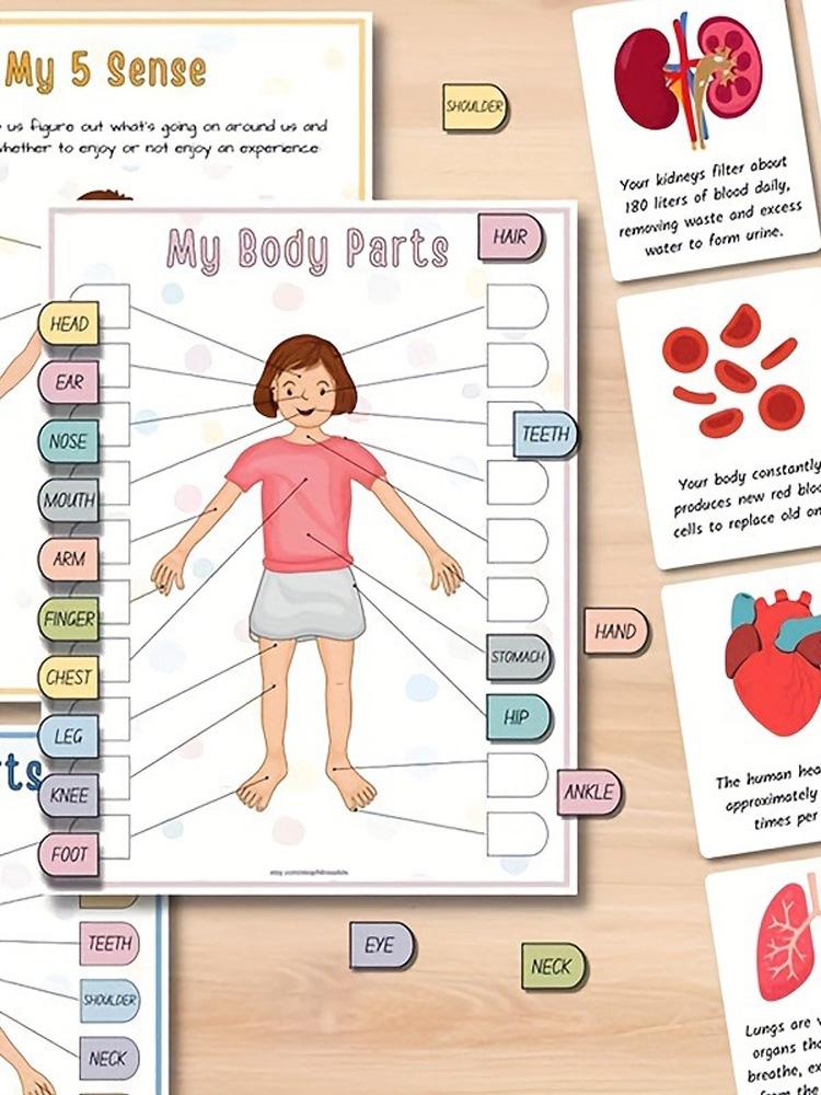 

Vintage Skull-Themed Interactive Human Anatomy Busy Book, Glossy Pages, Easy Tear-Out Sheets, Fun & Educational Gift for Office