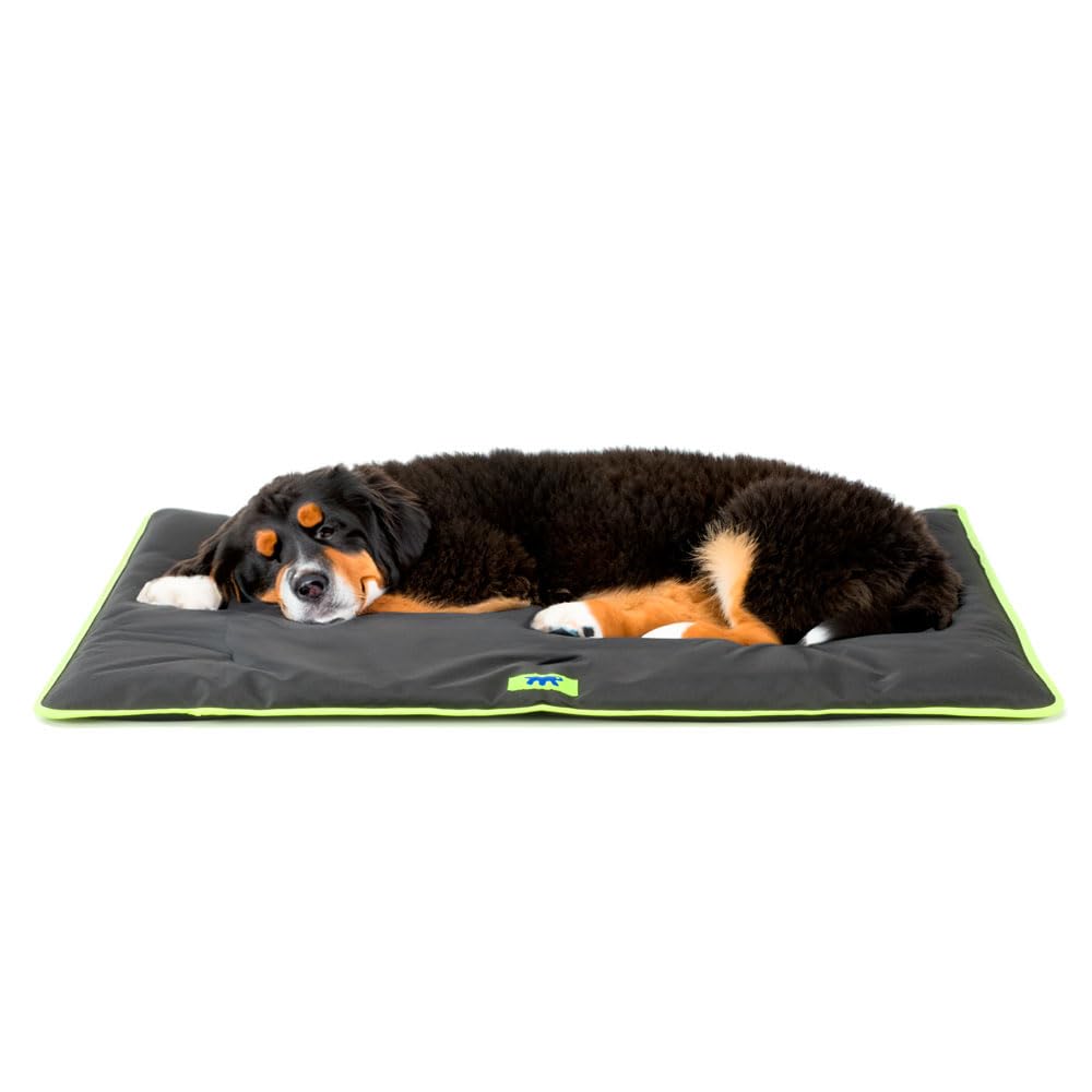 Jolly 110 Black Dog Bed House with Car Seat Water-Repellent