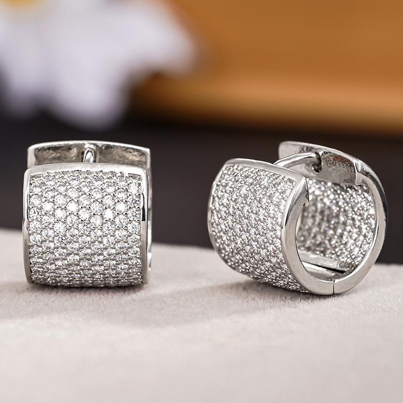 2026 New Micro Inlaid Light Luxury Exquisite Earrings Elegant and High End Versatile Personalized Fashion Accessories