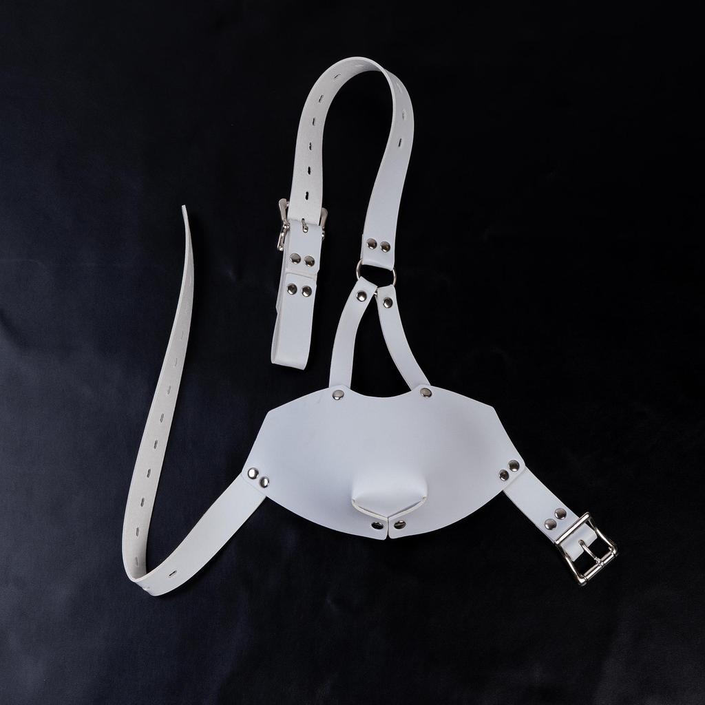 K9 Mask Harness Silicone Ball Gag: Adult Personality Mouth Cover