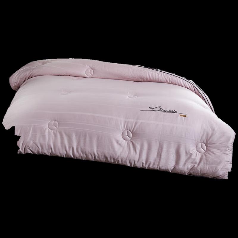 

Tianqin Champs Elysées Embroidered All-Season Quilt