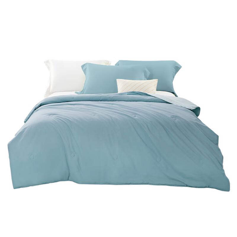 

Jieyu Washable Summer Quilt