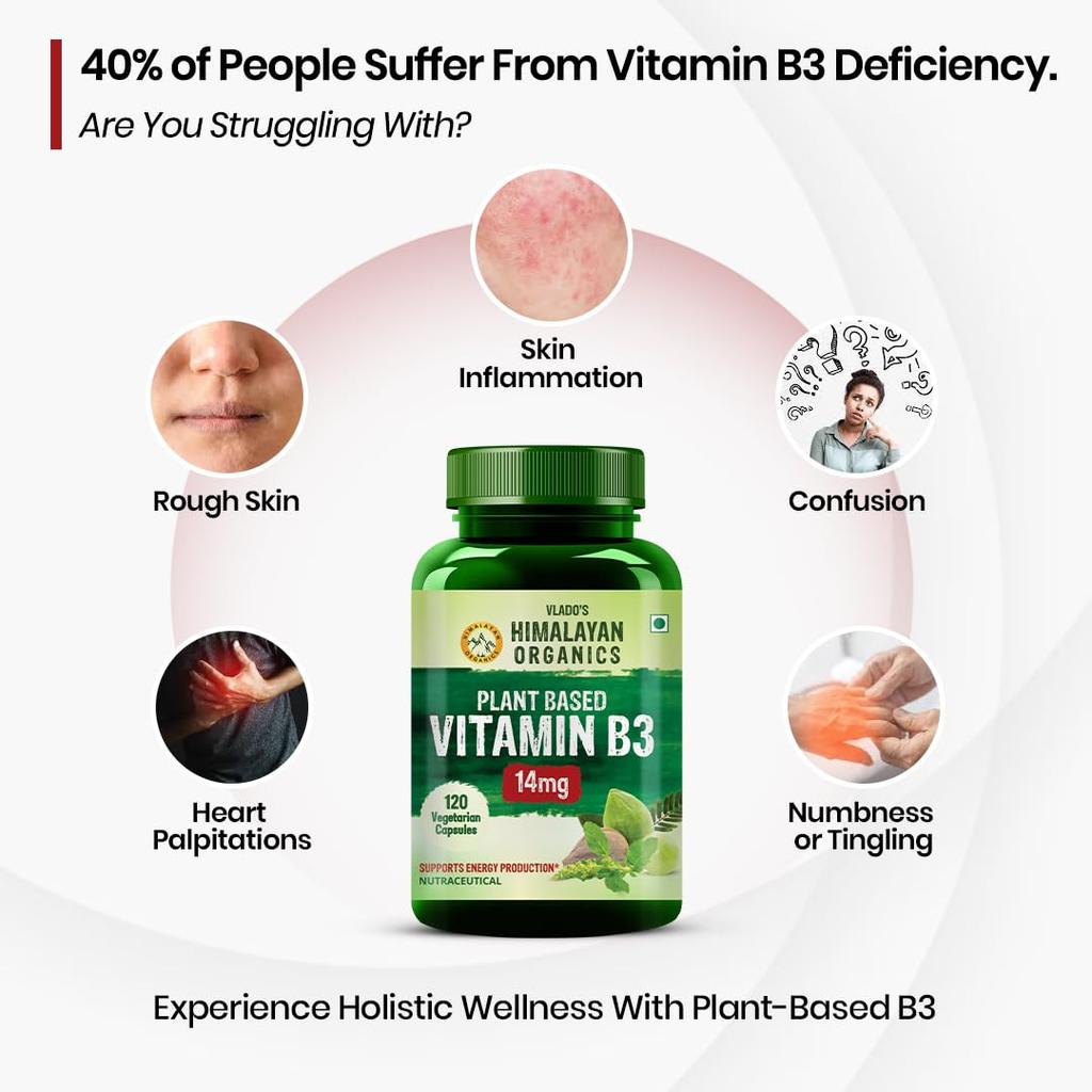 Vlado's Himalayan Organics Plant Based Vitamin B3 14 Mg Supplement 120 Veg Capsules For Skin Heart And Daily Wellness Support