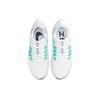 Nike Air Zoom Pegasus 38 White Aurora Green Women's CW7358-102