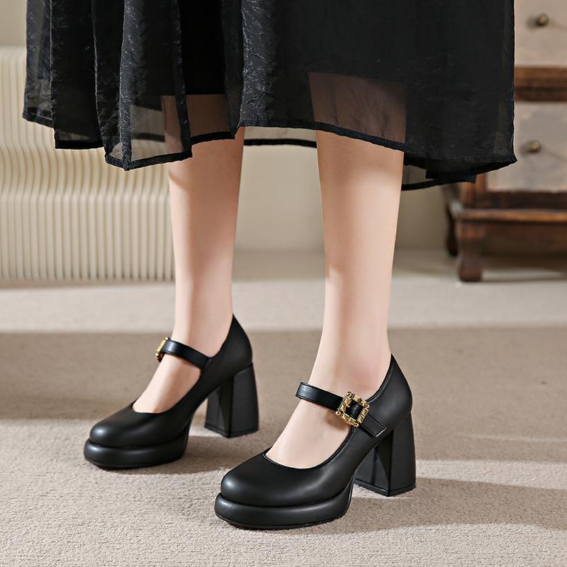 Size 34-43, Large Size Women's Shoes French Thick Heel Mary Jane Shoes 41 Retro Fairy Style High Heel Single Shoes