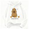 Trendiger Capybara Lustiger Kinder Hoodie Sweatshirt Süßer Harajuku Hoody Für Jungen Mädchen Herbst Frühling Lässige Hoodies