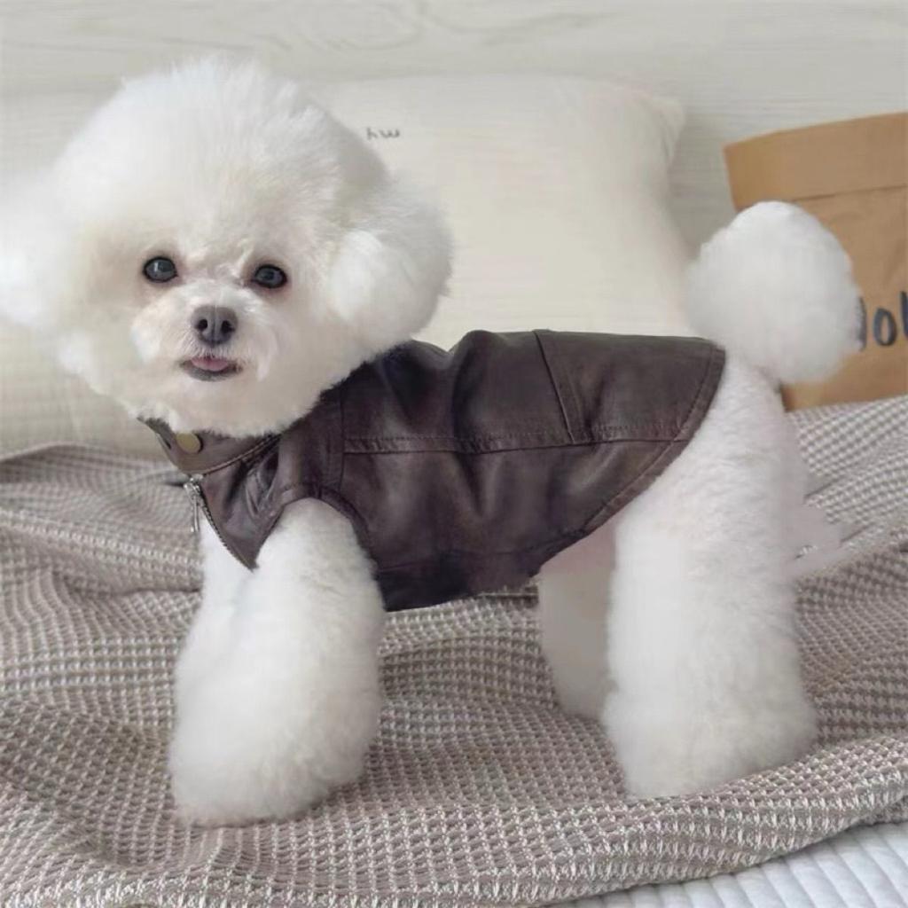 Pet Dogs Cats Jacket Coat Leather For Teddy Schnauzer Dog Warm Coat Jacket Faux Leather Fashion Pet Puppy Clothing Apparel
