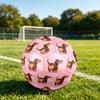 1pc Love Dog Heart Theme Soccer Ball Football, Size 5, Lightweight PVC, Outdoor Training Soccer Ball,Gift J61412
