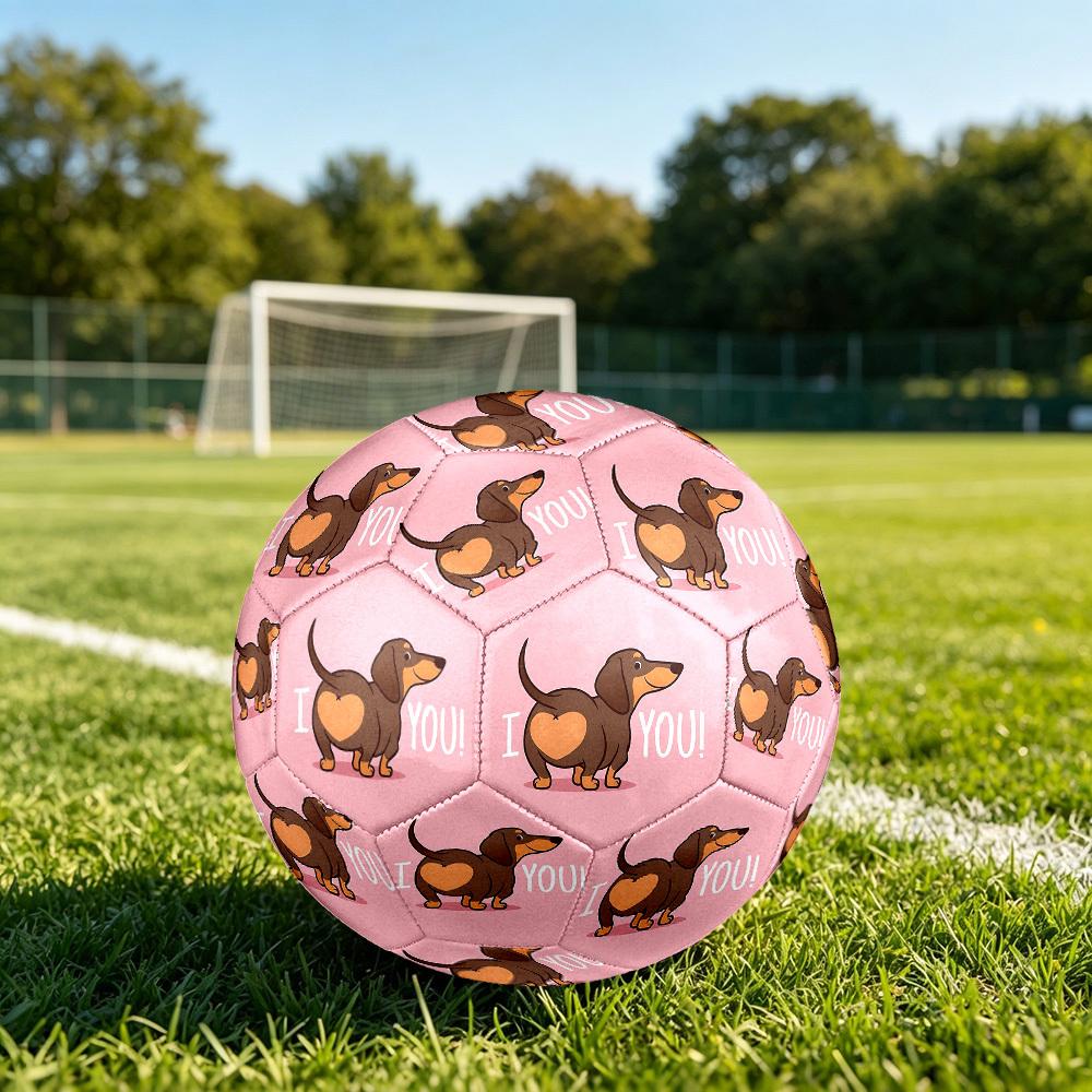 1pc Love Dog Heart Theme Soccer Ball Football, Size 5, Lightweight PVC, Outdoor Training Soccer Ball,Gift J61412
