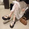 Seaside Slippers Women's 2025 Summer New High-end Thick-soled Outer Wear with Skirt Beach Black Height-enhancing Cool Slippers