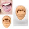Modelo de lengua humana, silicona suave, soporte acrílico realista, modelo de boca para exhibición de joyería