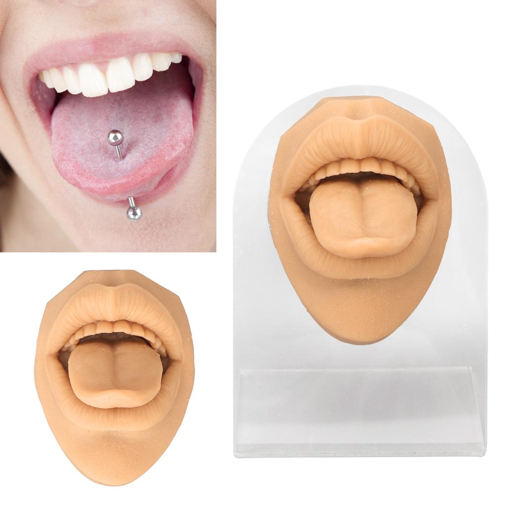 Modelo de lengua humana, silicona suave, soporte acrílico realista, modelo de boca para exhibición de joyería