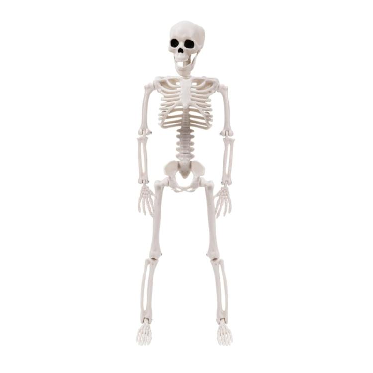 Halloween Skeleton Set Full Body Skeleton for Halloween Party Yard Garden Decor 1