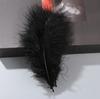 Decorative Feathers - Black, 14cm, 100 Pcs