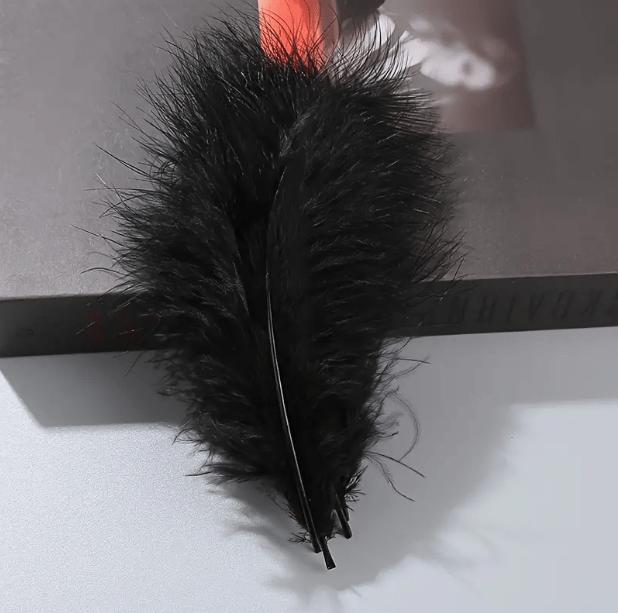 Decorative Feathers - Black, 14cm, 100 Pcs