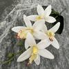 Eva Small 4head East Asian Orchid 3d Faux Flower For Wedding Home Decor And Photography Props