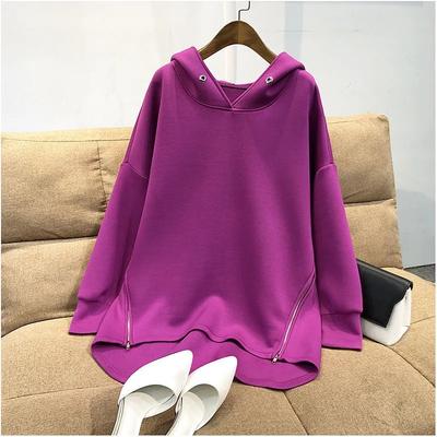 Autumn New Style Hooded Sweatshirt For Women Korean Style Fashionable Loose Casual Zipper Lightweight Versatile Top Trendy