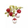 Sweet Lychee Fruit, High-end Feminine Literary and Fashionable Temperament Brooch