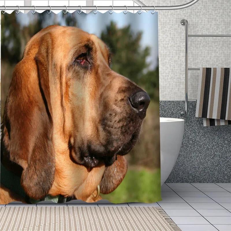 Adorable Bloodhound Puppy Shower Curtain, Waterproof Fabric With Hooks, Multiple Sizes Unique Pet Design For Bathroom Decor