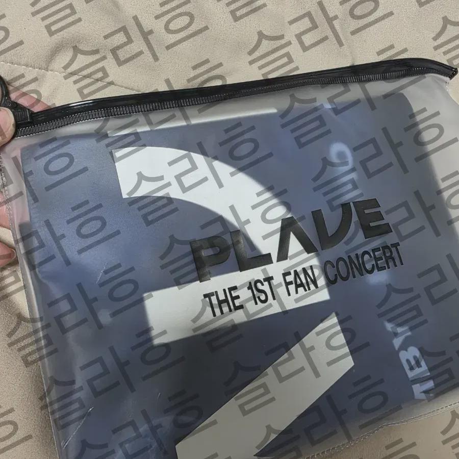 Plave 1st Concert Slogan