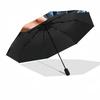 Cha Eun woo Theme Automatic Umbrella, Lightweight & Portable, 8 Rib, Perfect for Outdoor Travel, Birthdays, Christmas, Gifts.