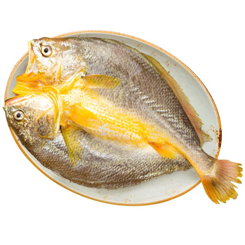 Huang Xiaoyu Yellow Croaker Seafood Selection