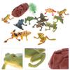 STOBOK Reptile Figurines, Frog Models, Living Frog Figurines, Plastic Reptile Frog Models, Miniature Animal Figures, Scenery, Gift, Set of 12
