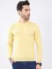 Mens Regular Fit Solid Pullover