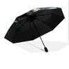Persian Cat pattern, automatic folding umbrella, portable and foldable design, 8 ribs, a Christmas or birthday gift.