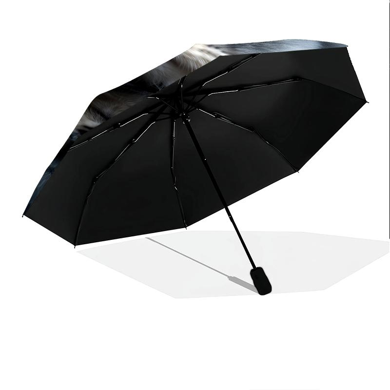 Persian Cat pattern, automatic folding umbrella, portable and foldable design, 8 ribs, a Christmas or birthday gift.