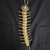 1/2pcs Punk Style Centipede Button Cover Metal Button Clip-On Centipede Button Clip  for Shirt Decor