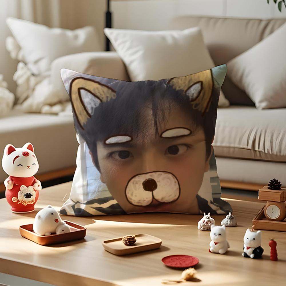 LinYi Chinese Actor Cushion Cover Anti-dustmite Pillowcase Invisible Zipper Silky Short Plush Sofa Cushion Cover
