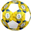 Football Club Teplice Size 5 Soccer Ball, Machine-Stitched PVC, Durable & High Bounce, All Ages Fit, Fan Merchandise, Matches & Outdoor Use.