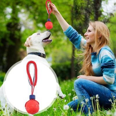 Hunde Kauspielzeug Ball für Aggressive Kauer Geprägte Textur Interaktives Apportierspielzeug Hüpfball Spielzeug für Große Mittel Kleine Hunde