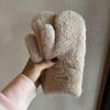 Winter Warmth Gloves For Women With Plush Lining For Commuting And Outdoor Activities