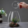 Micro Landscape Glass Bottles with Cover Fresh Green Succulent Moss Bottle Glass Vase Glass Terrarium Bonsai Home Desktop Decor