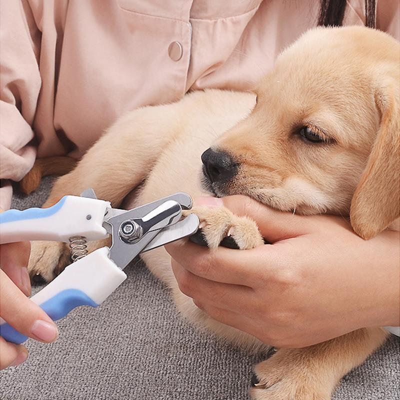 

Ножницы для стрижки ногтей для домашних животных, ножницы для стрижки ногтей, собак, кошек, когти, ножницы, триммер, инструменты для ухода за животными, товары для домашних животных S