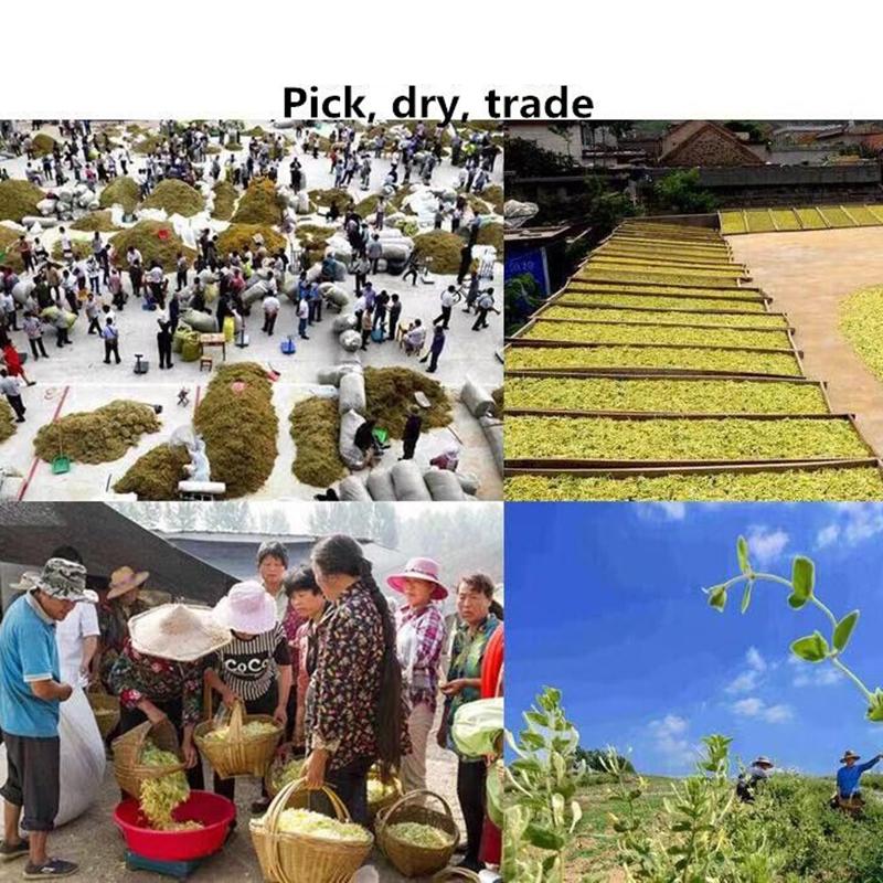 250g/500g Traditional Health Herbs Honey Suckle Dried Herbal Tea Honeysuckle Tea