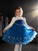Glitzerndes leuchtendes Elsa Prinzessinnenkleid für Mädchen - Beflockter Herbst-/Winter-Halloween-Stil