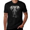 Elephant Tshirt Cotton T Shirt Pack Tshirt