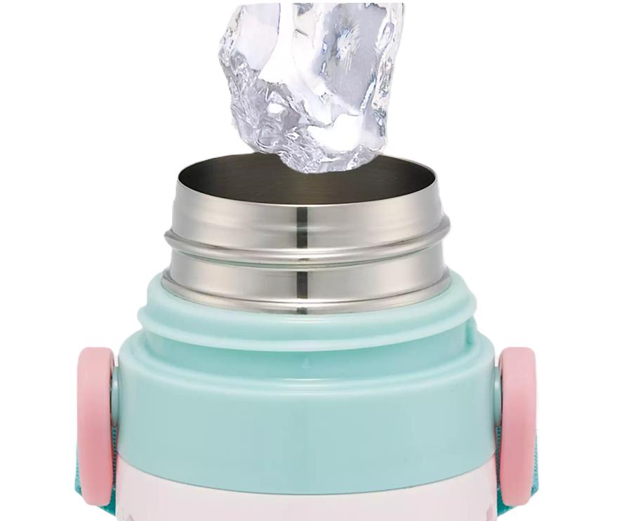 Disney Disney Princesses 2WAY Stainless Steel Bottle for Kids Japan NEW