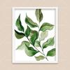 Bohemian Watercolor Tropical Plant Canvas Painting Monstera Banana Leaf Eucalyptus and Fern Art Posters Aesthetic Bedroom Decor