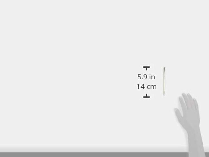 LAMY Studio Palladium Coated Ballpoint Pen L268-N (Official Import)