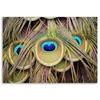 Obraz na płótnie, Pawie pióro