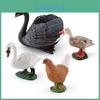 Farm Scene Animal Models With Pvc Material Includes Swans Ducks And Chickens For Educational Displays