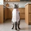 Soft Material Cat Recovery Clothes Breathable Fabric Cat Protective Vest  Weaning Period